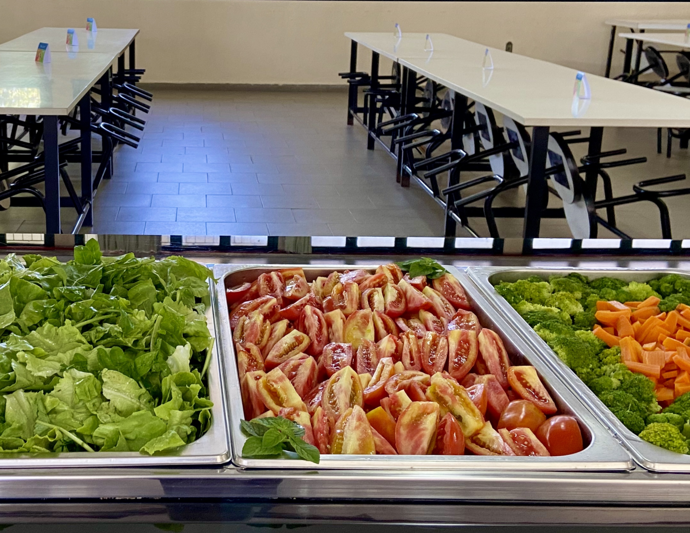 Os desafios da alimentação vegetariana nas unidades escolares - Instituto  de Nutrição e Alimentação Escolar