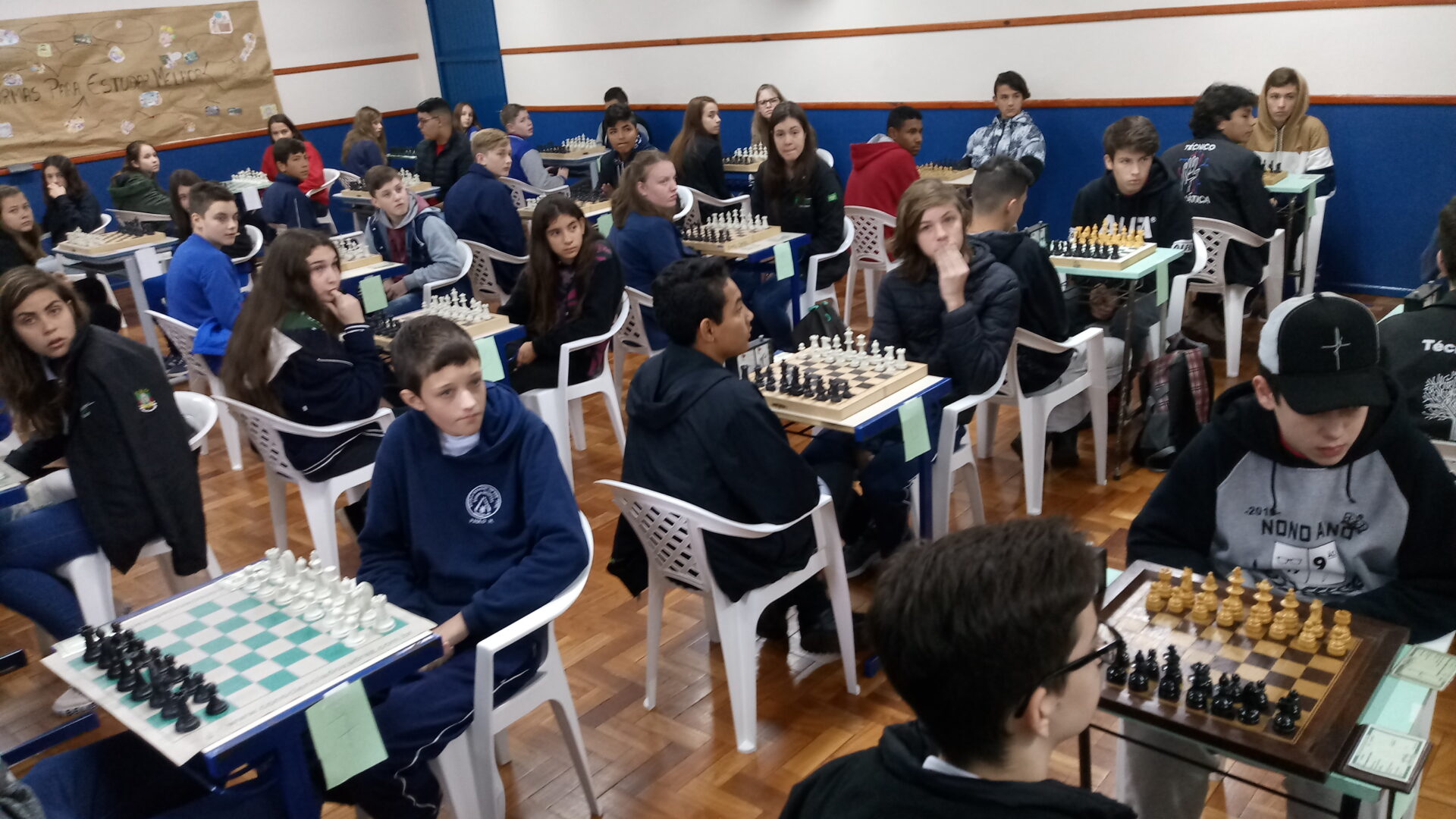 Curso de xadrez ♟️ 584 professores